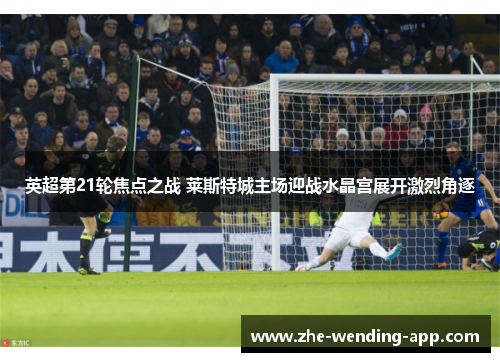 英超第21轮焦点之战 莱斯特城主场迎战水晶宫展开激烈角逐