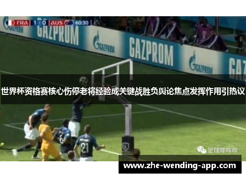 世界杯资格赛核心伤停老将经验成关键战胜负舆论焦点发挥作用引热议