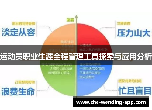 运动员职业生涯全程管理工具探索与应用分析