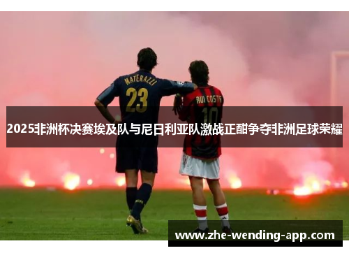2025非洲杯决赛埃及队与尼日利亚队激战正酣争夺非洲足球荣耀