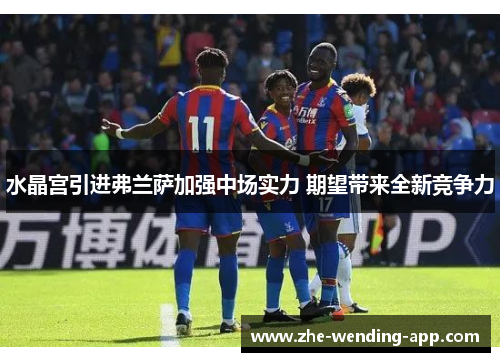 水晶宫引进弗兰萨加强中场实力 期望带来全新竞争力 水晶宫引进弗兰萨加强中场实力 期望带来全新竞争力