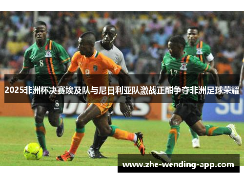 2025非洲杯决赛埃及队与尼日利亚队激战正酣争夺非洲足球荣耀 2025非洲杯决赛埃及队与尼日利亚队激战正酣争夺非洲足球荣耀